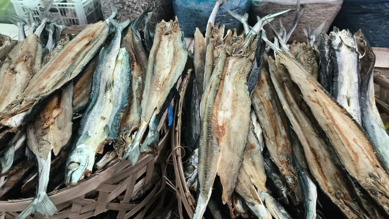 Ikan Panjang